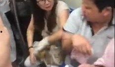 郑州爆料阿姨事件视频,邻里纠纷引发社会关注